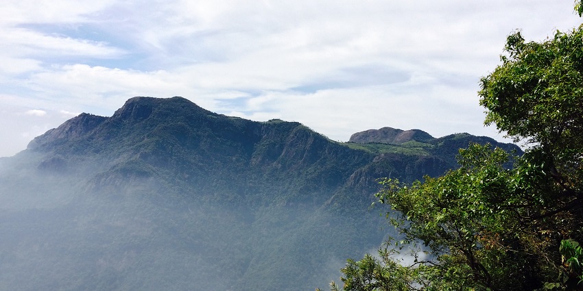 A glimpse of the serene lush forest area ideal for nature walks and exploration.