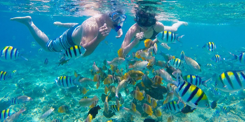 Snorkeling is among the best water sports in Rameshwaram with clear waters of the Island.