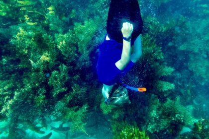 A person performing a thrilling water activity under water and exploring marine life.