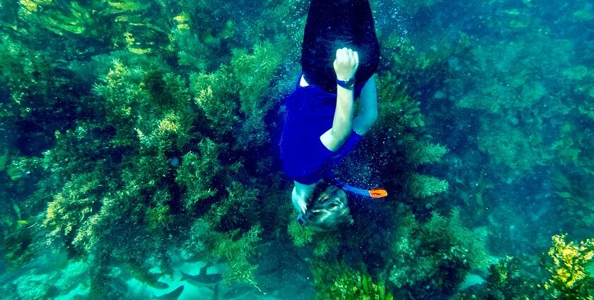 A person performing a thrilling water activity under water and exploring marine life.