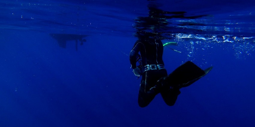 An image of a snorkeler observing fish and coral reefs, one of the best Malvan Water Sports.
