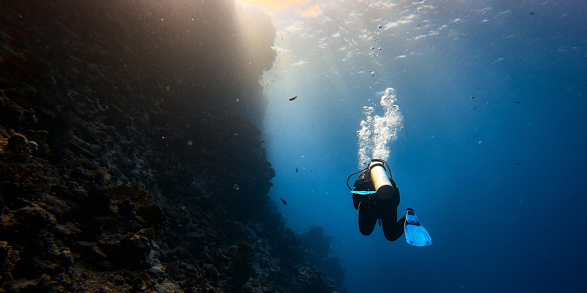 An image view of a snorkeler swimming over a colourful coral reef.