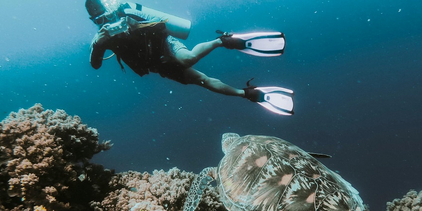 An image of a snorkeler exploring underwater life, among the best water sports near Pune.
