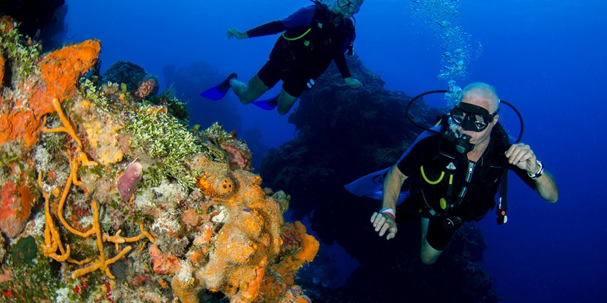 An image of a snorkeler exploring Lovina Beach’s vibrant coral reefs and tropical marine life