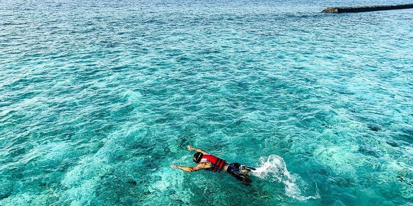 An image depicting vibrant coral reefs and marine life for snorkelling in azure waters.