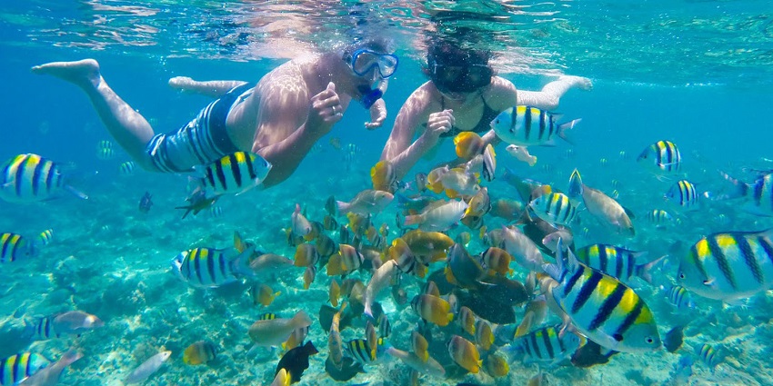 An image of two people snorkelling underwater with fish around with a snorkelling mask.