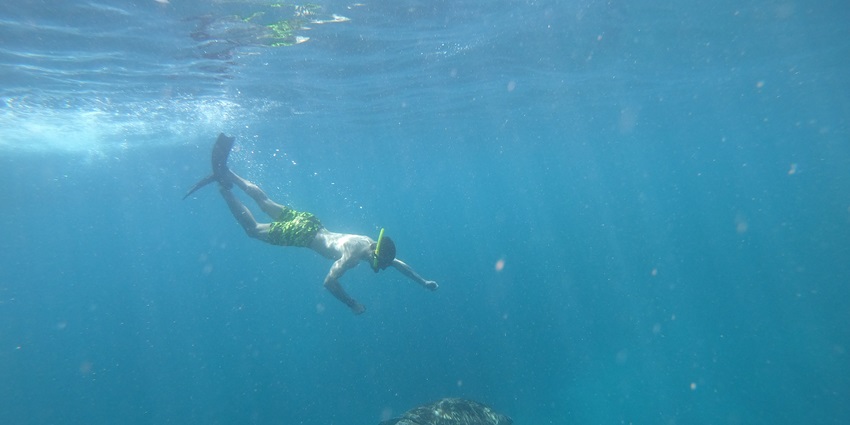 Snorkeler admiring colourful fish and coral formations in Lakshadweep's shallow lagoons.