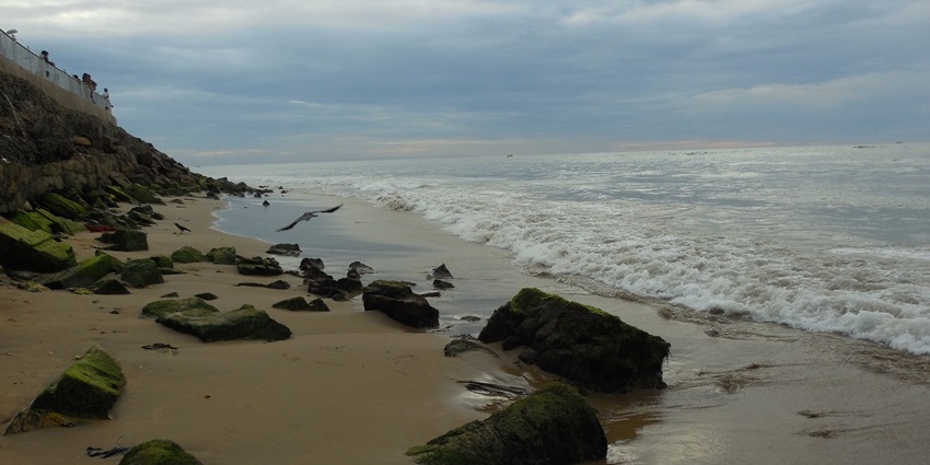 Exploring the scenic Tiruchendur Beach is one of the best things to do in Thoothukudi.