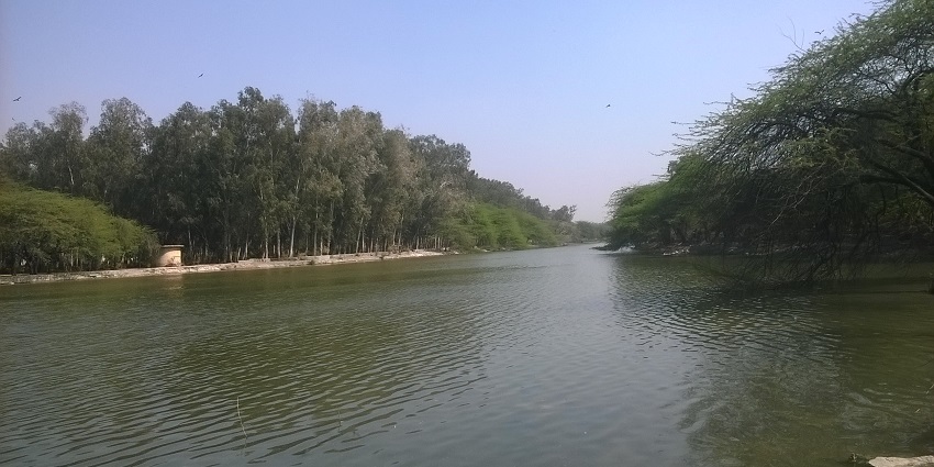 Sohna Lake, one of the places to visit near the main destination, is perfect for relaxation.