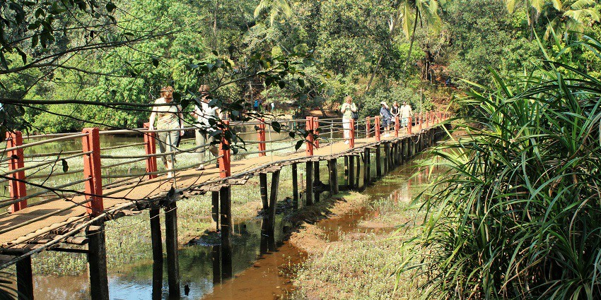 Touring the spice plantation, one of the interesting things to do in Goa in April