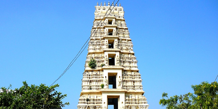 Seek fortune and joy at Sri Lakshami Narayan temple, a serene temple in Nagapattinam