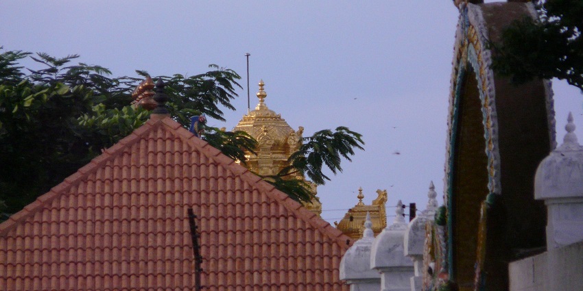 Stunning temple covered in gold, known for spiritual significance.