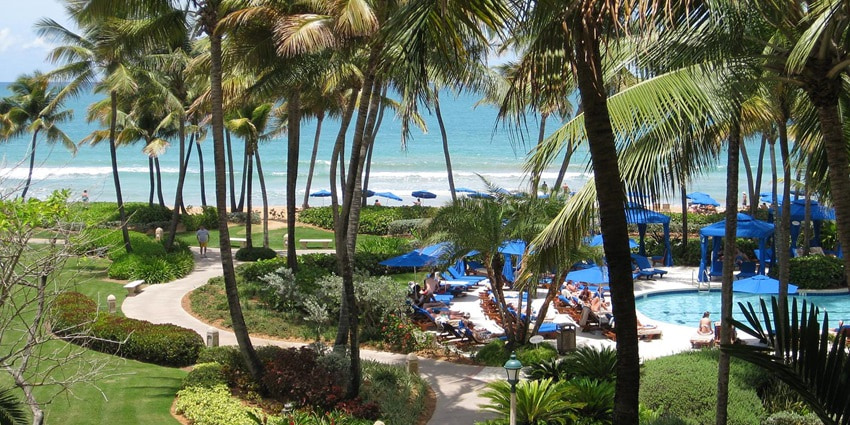 A picture of a beautiful beach resort in Murdeshwar with pine trees and lush greenery all around