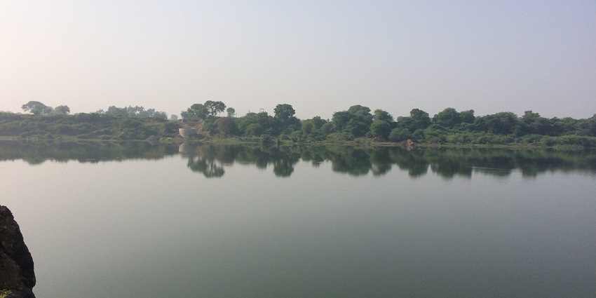 A tranquil view of the Godavari River in Nanded, with gentle ripples and lush green trees lining the riverbanks.