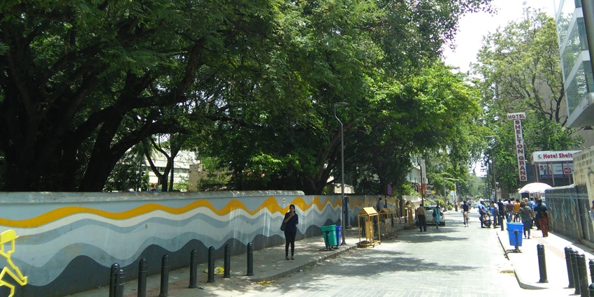 A picture of the lush trees around the Church Street in Bangalore