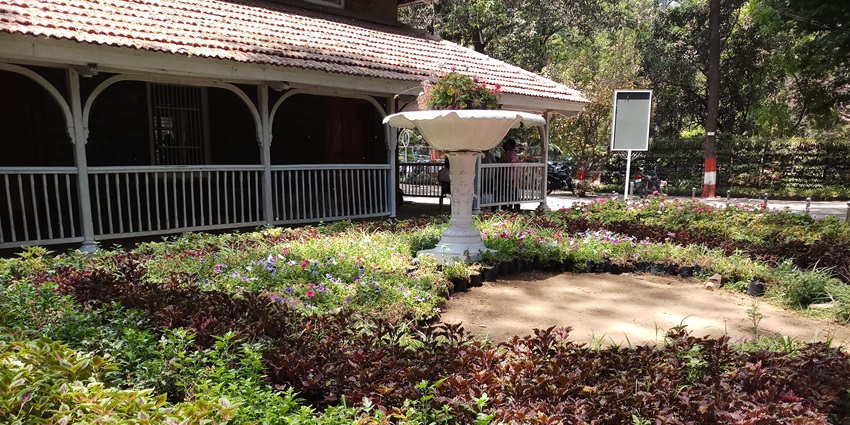 Empress Garden is a vast garden filled with a variety of flowers and greenery, perfect for relaxation.