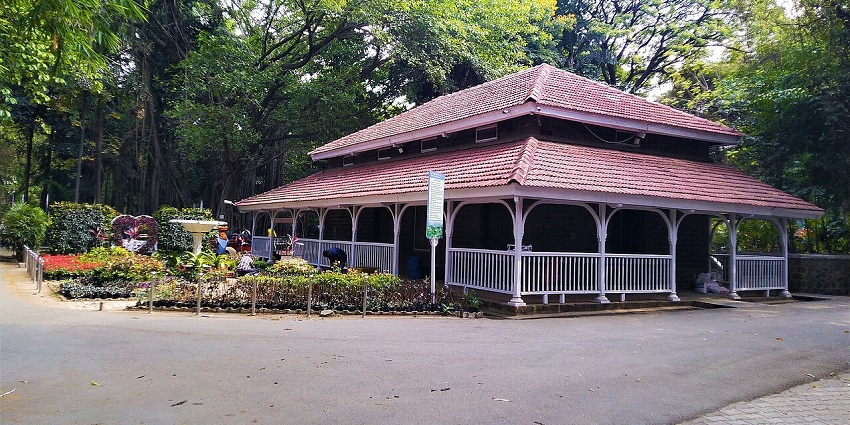 Lush flowers and greenery within the peaceful Botanical Garden, perfect for relaxation