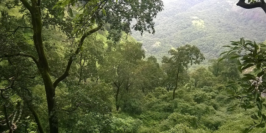 Sudhagad Fort, the historical site offering trekking and scenic views.