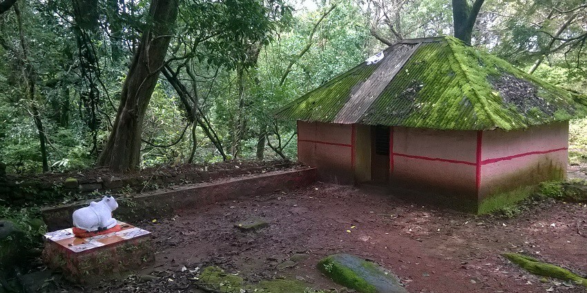 Sudhagad Fort is among the best tourist sites for nature and adventure enthusiasts.