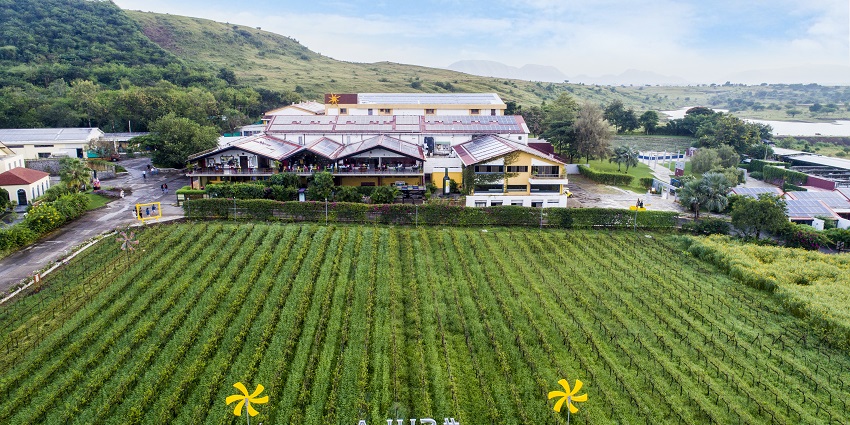 A view of Sula Vineyards in Nashik, a famous place near Ramshej Fort, Nashik.