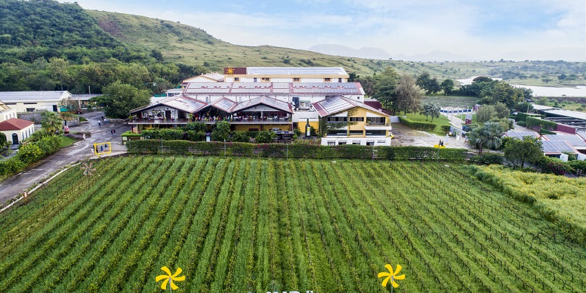 A wide aerial view of wine farms at Sula Vineyards - Places near Nashik for weekend