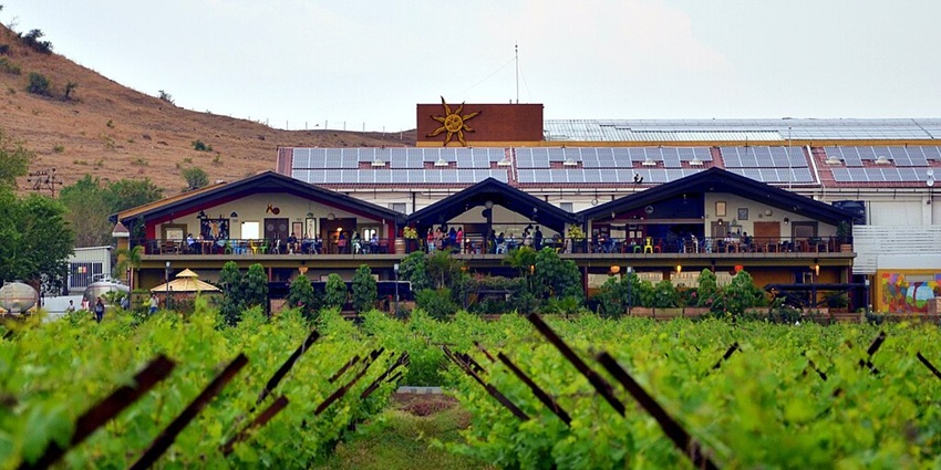 Sula Vineyards is a top place to visit in Nashik in monsoon with wine and scenic views.