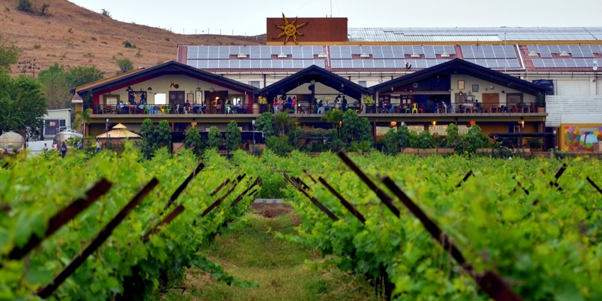 Renowned vineyard famous for wine tasting and tours for travellers to explore.