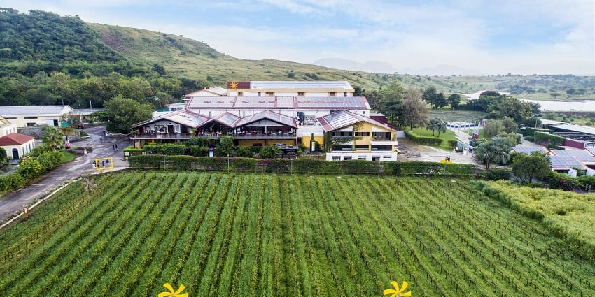 A wide aerial view of wine farms at Sula Vineyards in Nashik region of Maharashtra.
