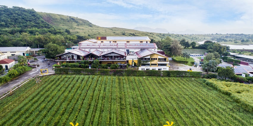 Sula Vineyards is a top place to visit in Nashik in monsoon with wine and scenic views