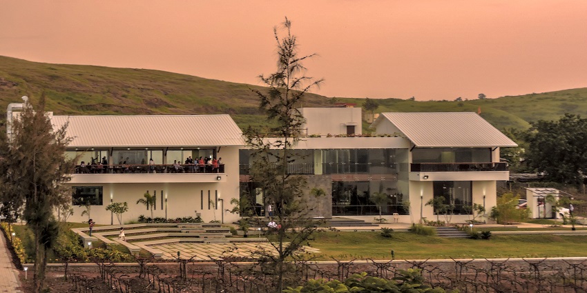 A view of Sula Vineyards in Nashik, showcasing rows of grapevines under a clear blue sky