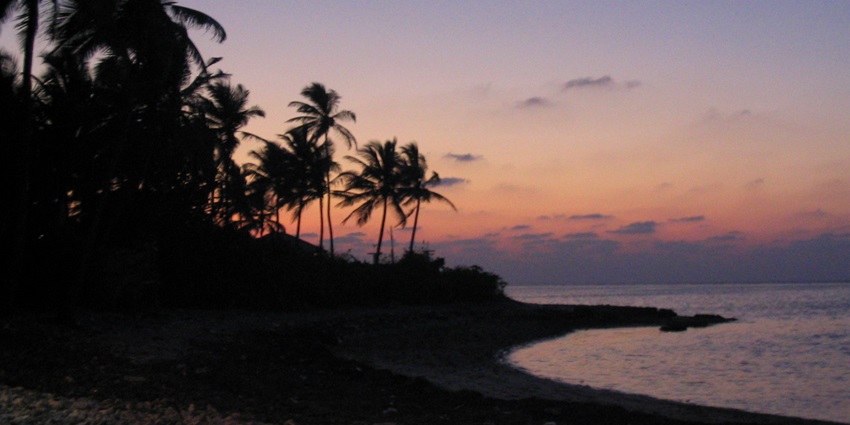 Alluring night view of the Island amidst the shadows of trees a perfect spot for night life in lakshadweep