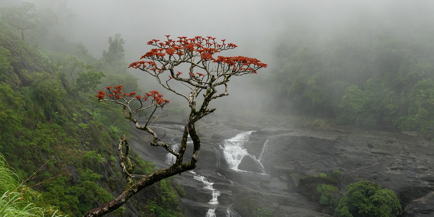 Sural Falls: a gem among places to visit near Belgaum, showcasing nature's beauty