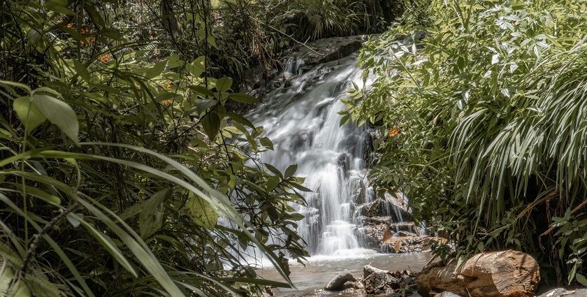 Surla Waterfalls is surrounded by dense greenery, offering a tranquil escape from city life.