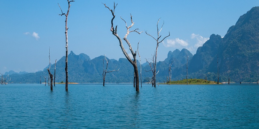 A tranquil lake with submerged tree trunks and distant mountains under a clear blue sky