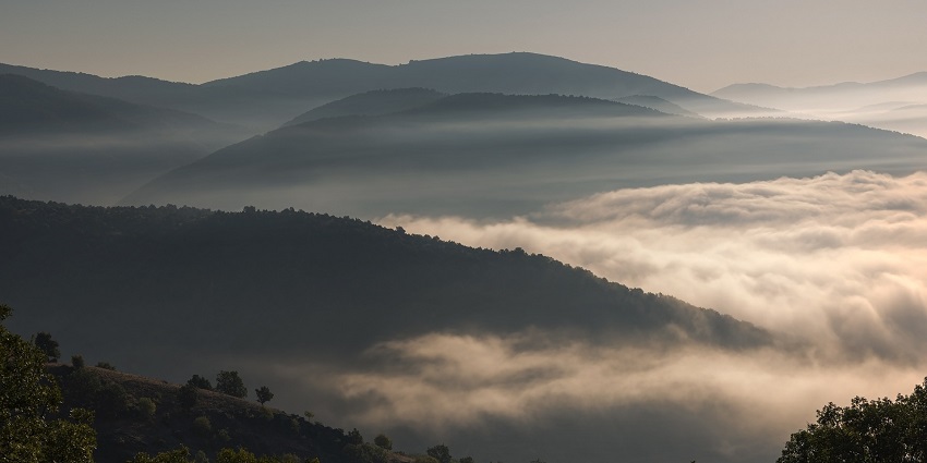 An image of a foggy forest in Swamimalai, one of the most peaceful places to visit in Yelagiri.
