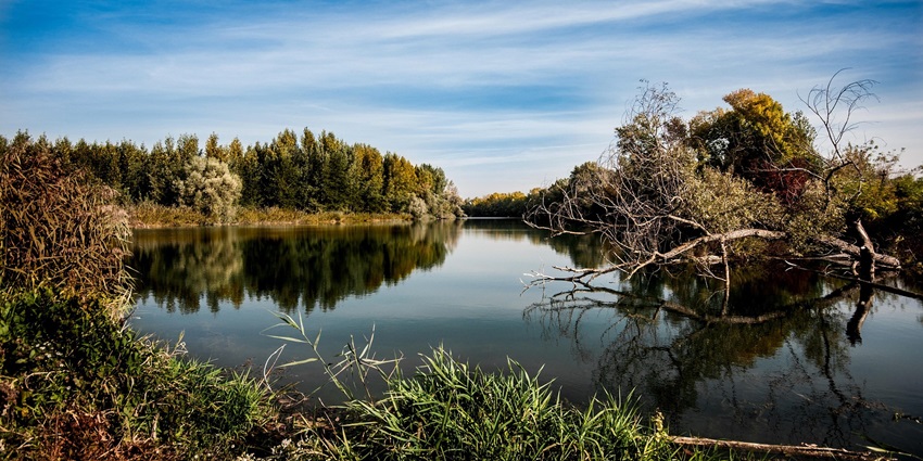 Image of river surrounded by colourful trees during fall season - Swarna Riverbank