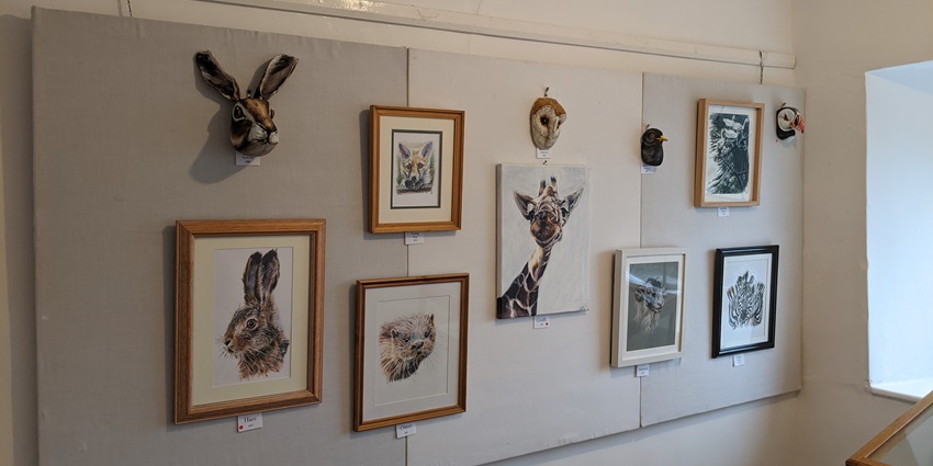 TARQ is a contemporary art gallery in Colaba, showcasing innovative artworks