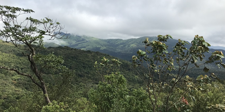 Trekking starting point at Tadiandamol, the best thing to do in Madikeri.