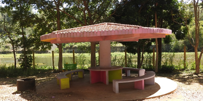 Lush greenery at Kolad Eco-Tourism Park, perfect for experiences.