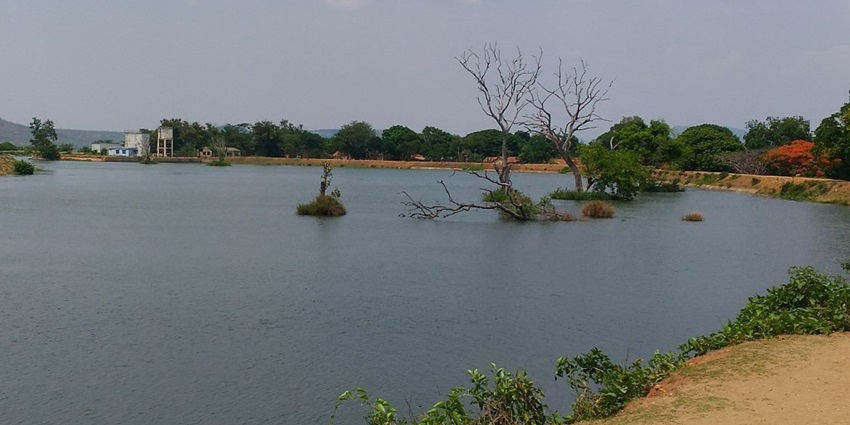 Serene Moyar River, highlighting exciting things to do in Masinagudi