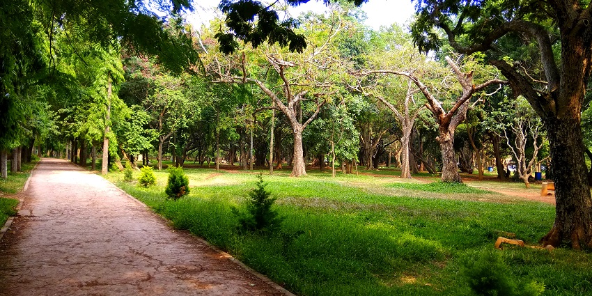 Cubbon Park offers lush greenery, walking trails, and serene relaxation spots