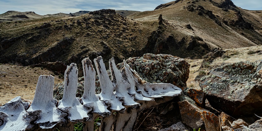 A nature trail within Fossil National Park, inviting visitors for a refreshing walk.