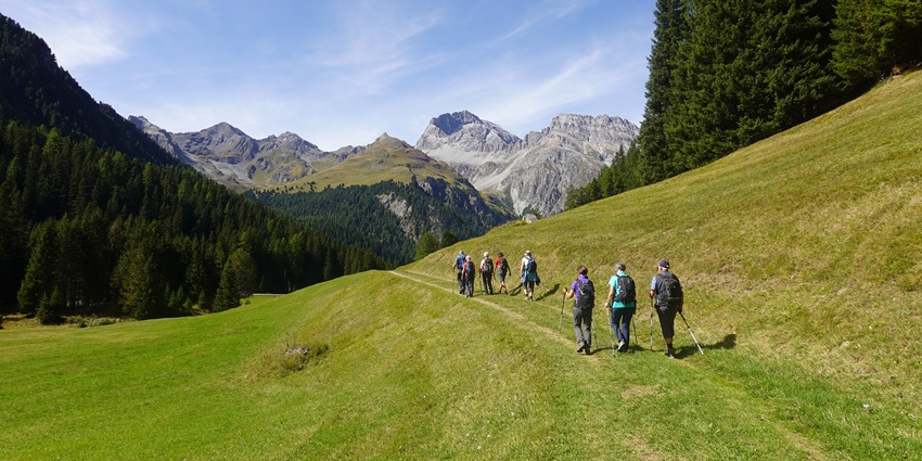An image of lush greenery along the Taljai hike trail with a group of people walking through.