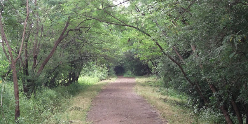 Taljai Hill is one of the best places to visit with friends in Pune for a memorable trip.