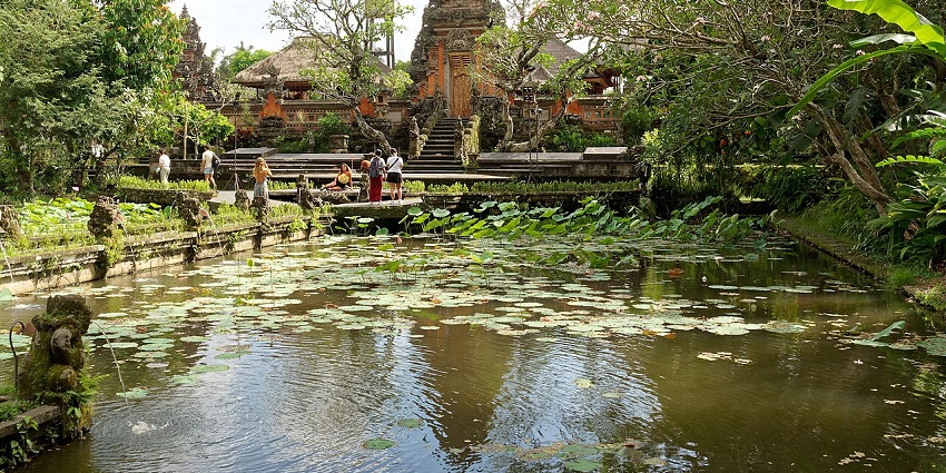 An image of the lotus pond at Taman Saraswati Temple, one of the important temples in Bali.
