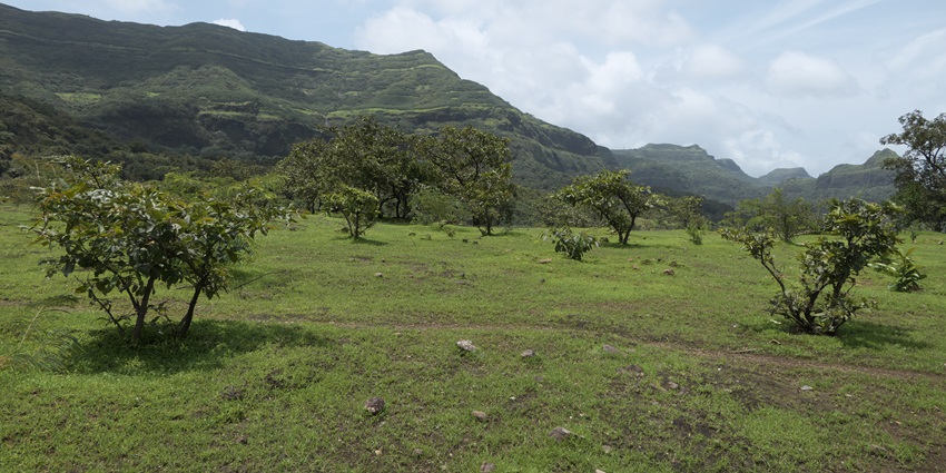 A sweeping view of mist-shrouded hills, dense forest canopy, and a gentle valley below