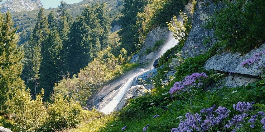 A photograph capturing the smooth, cascading flow of a waterfall surrounded by lush greenery.