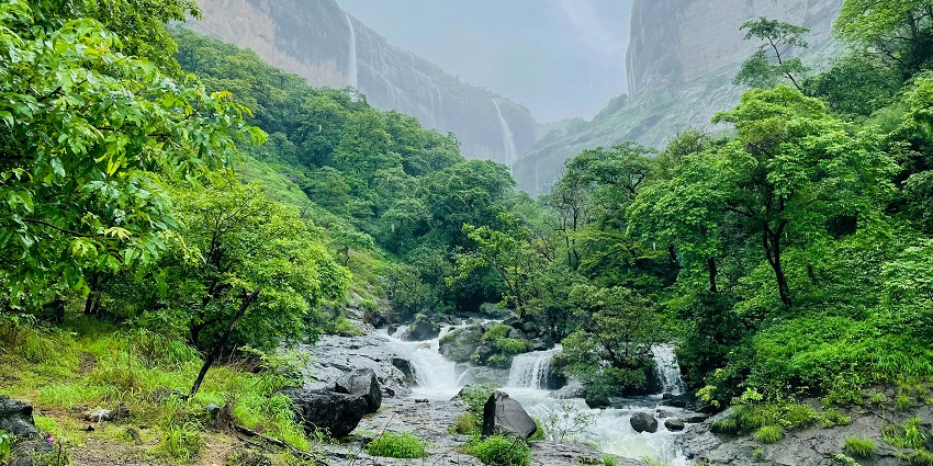 Lush greenery around Tamhini waterfalls - one of the places to visit in Pune for couples.