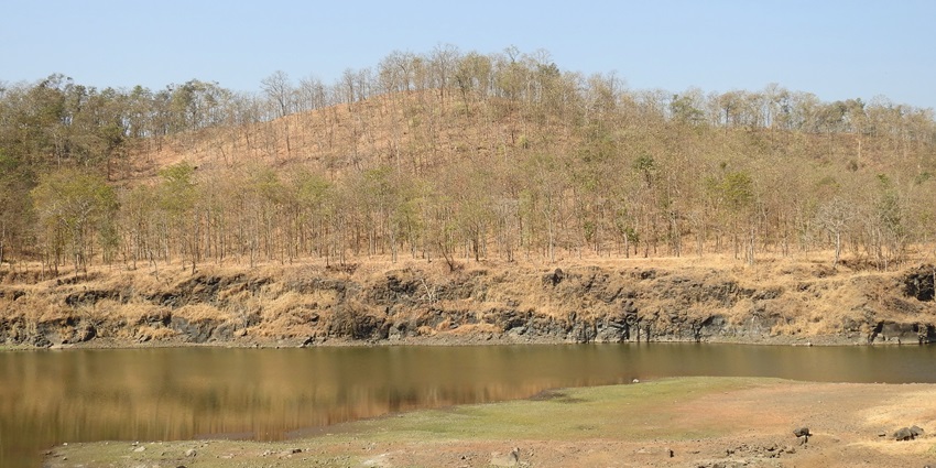Tansa Lake is a tranquil spot for bird watching, photography, and nature picnics