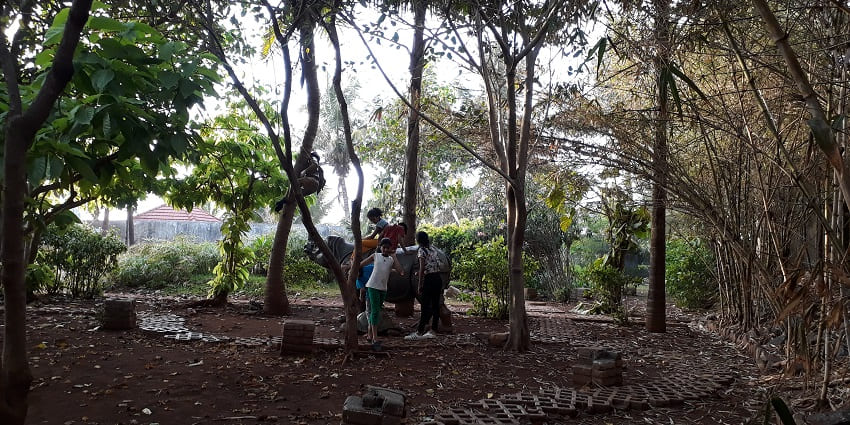 Mulund trail is a serene path for walking, jogging, and cycling where you can unwind in nature
